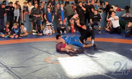 Нижнекамцы взяли семь медалей на турнире по вольной борьбе «Кубок Открытия» - НТР 24