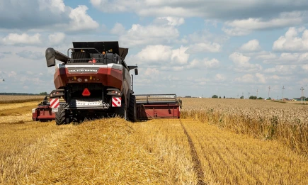 Семь месяцев в полях - НТР 24