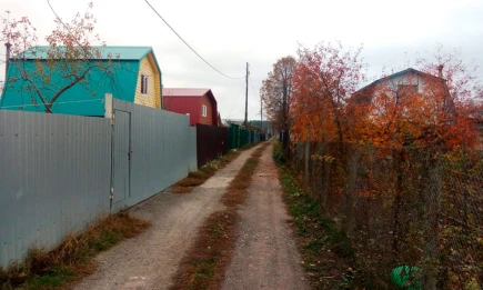 Сентябрь на даче: какие работы нужно успеть сделать до зимы - НТР 24