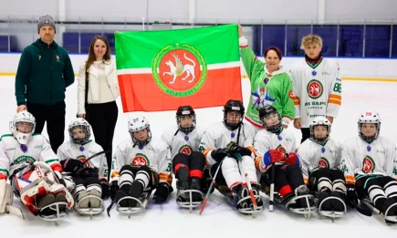 Нижнекамские следж-хоккеисты успешно выступили на межрегиональном турнире - НТР 24