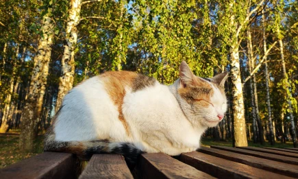 Куда сходить в Нижнекамске 13 и 14 сентября - афиша мероприятий - НТР 24