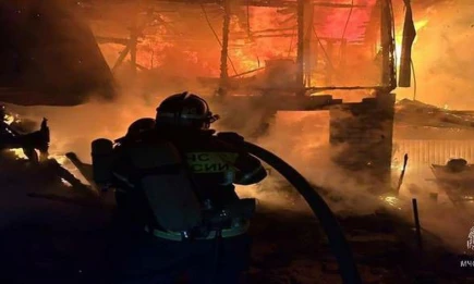 При пожаре в СНТ в Тукаевском районе Татарстана погибли два человека - НТР 24