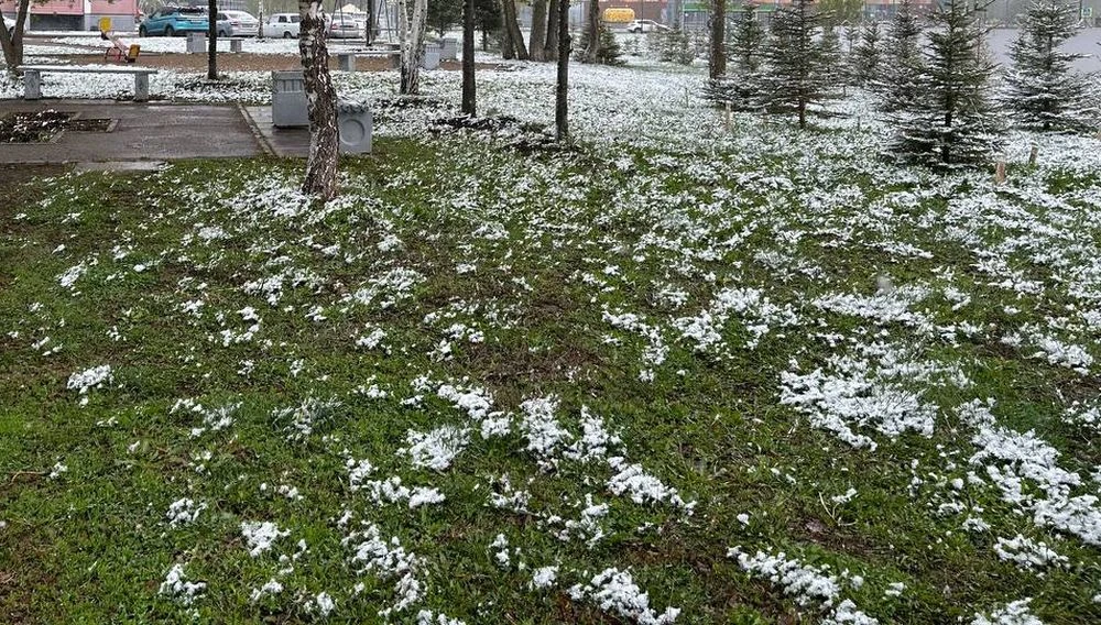 снег на траве осенью