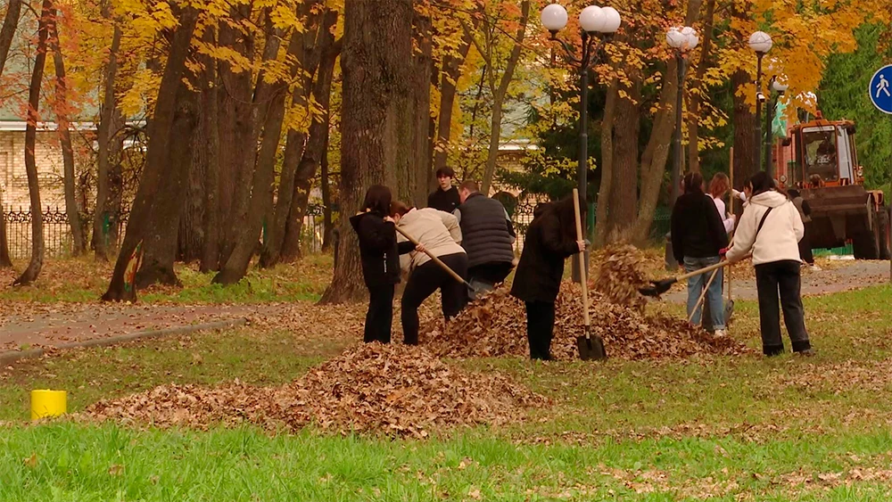 Уборка осенней листвы