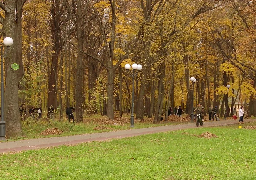 лесополоса в Нижнекамске природа