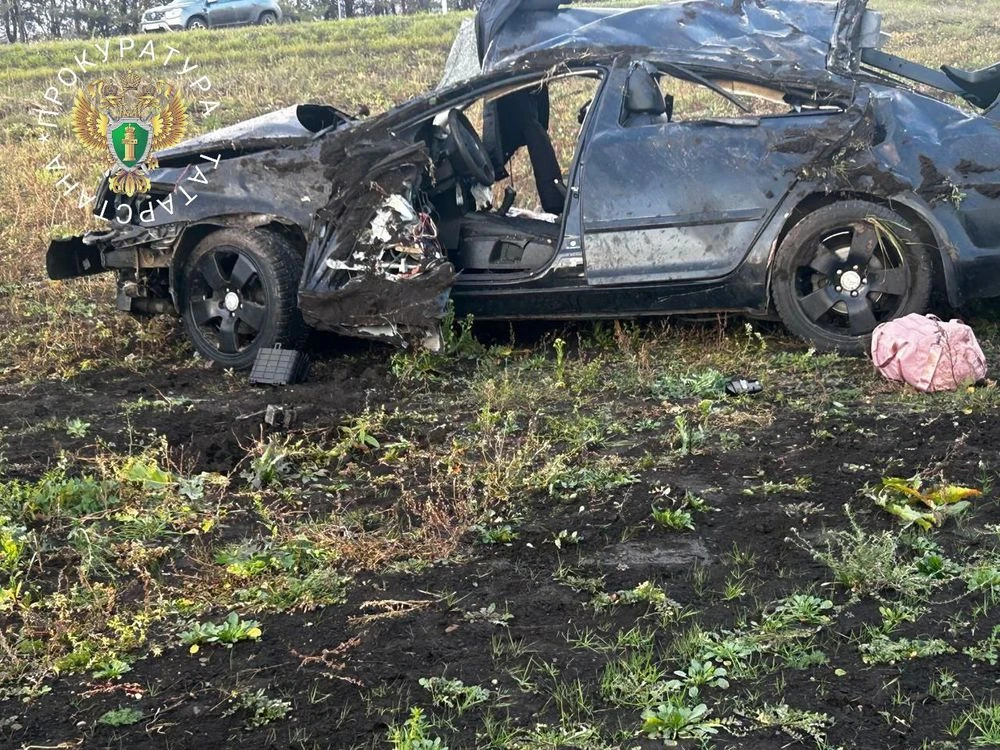 Шкода в кювете