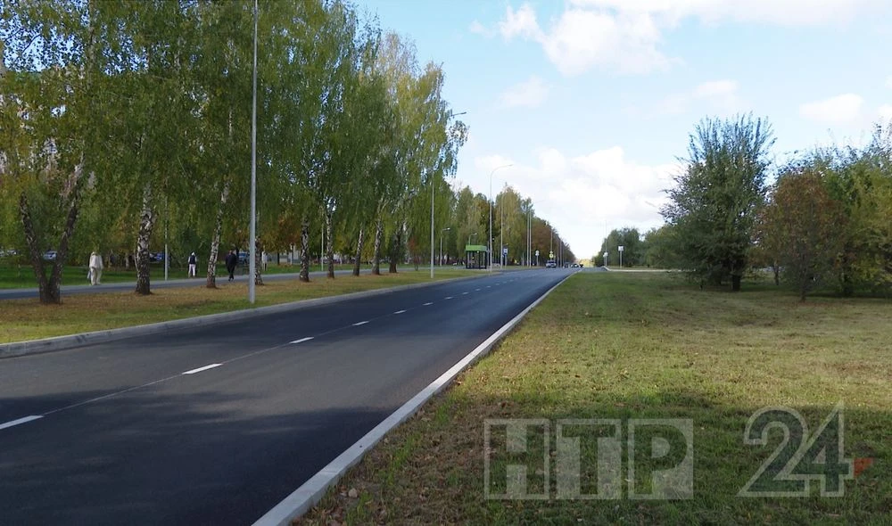 улица лесная в нижнекамске дорога