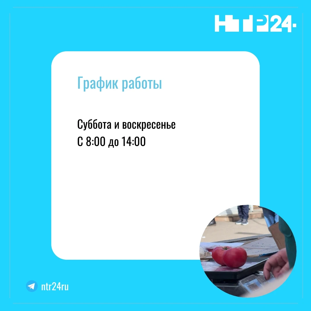 График работы: Суббота и воскресенье  с 8 до 14 часов