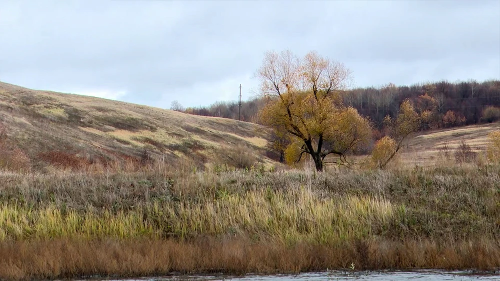 Осеннее поле