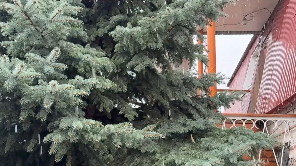 снег в Нурлате 23 октября 2025 года