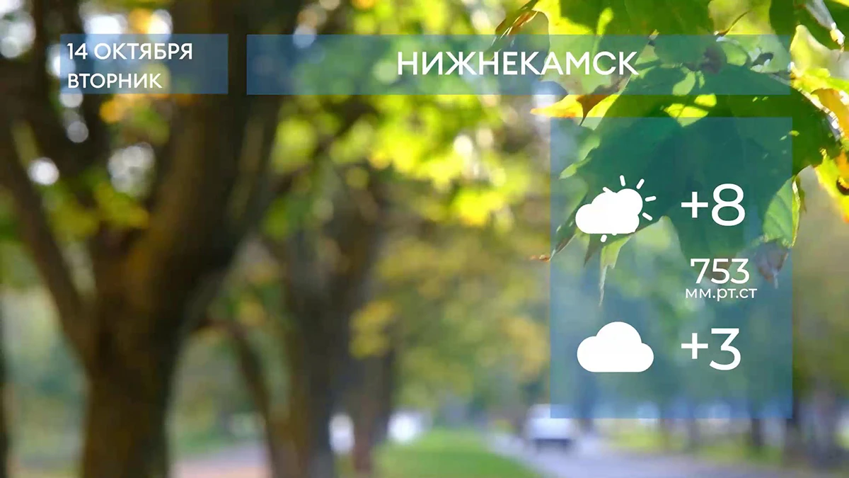 Прогноз погоды в Нижнекамске на 14-е октября 2025 года
