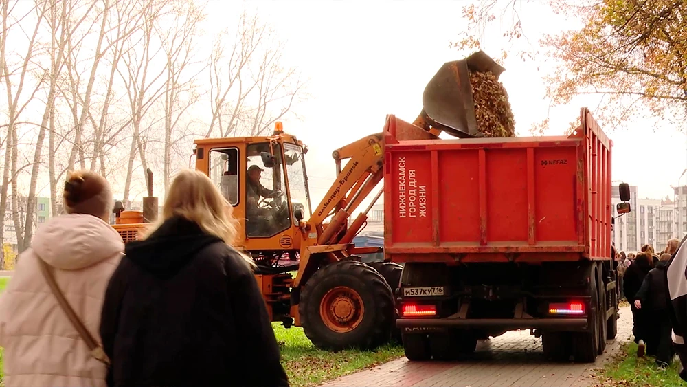 Уборка лесного парка в Нижнекамске