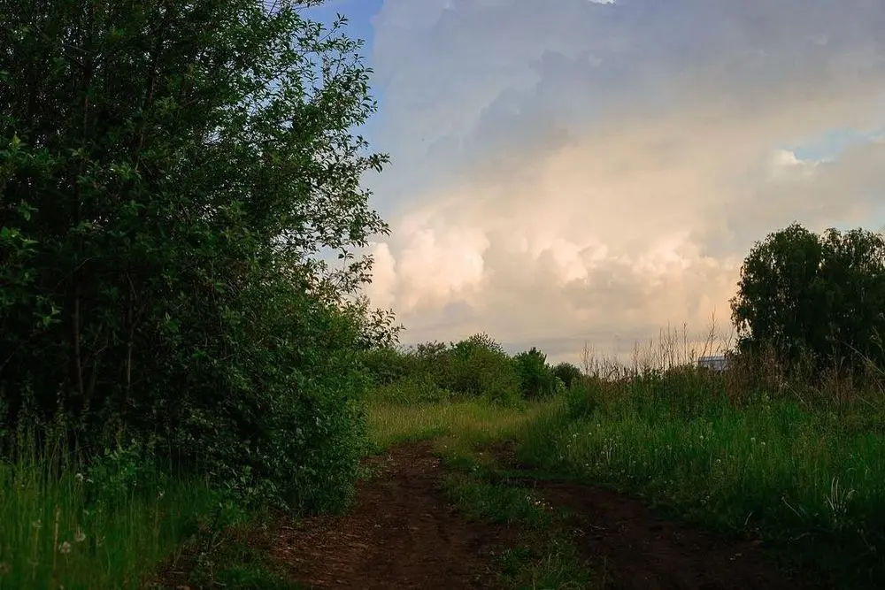 природа летом село