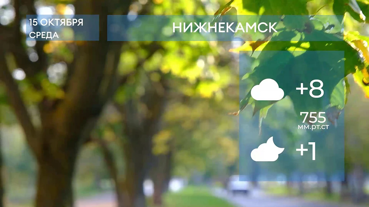 Прогноз погоды в Нижнекамске на 15-е октября 2025 года