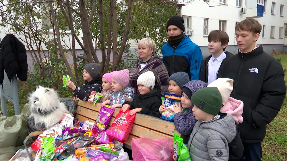 Горожане принесли кома для бездомных животных