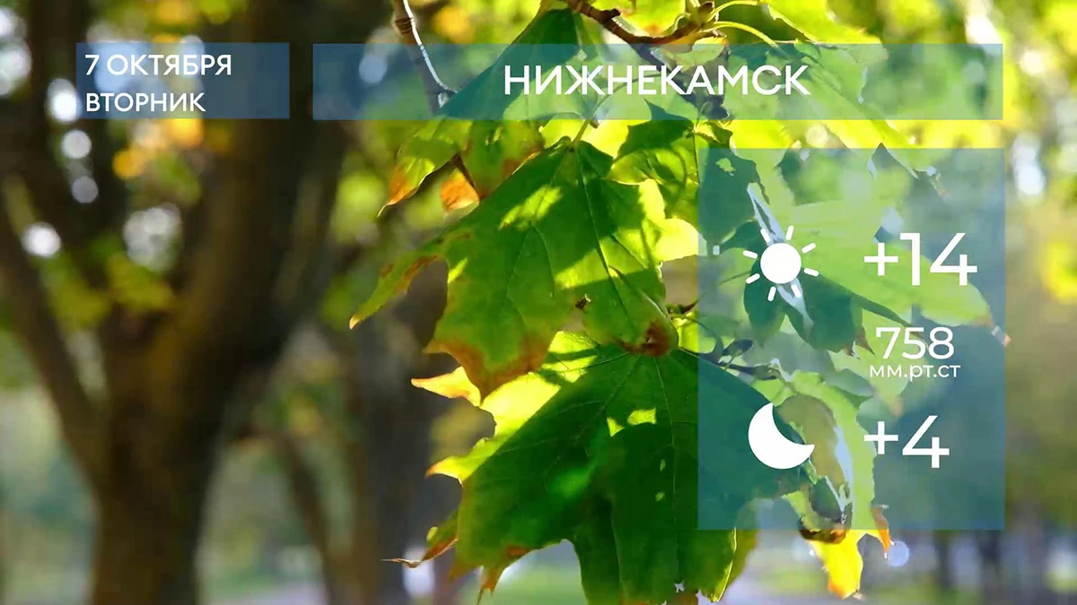 Прогноз погоды в Нижнекамске на 7-е октября 2025 года