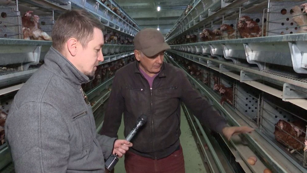 ферма Ильнура Зайнуллина в Нижнекамском районе