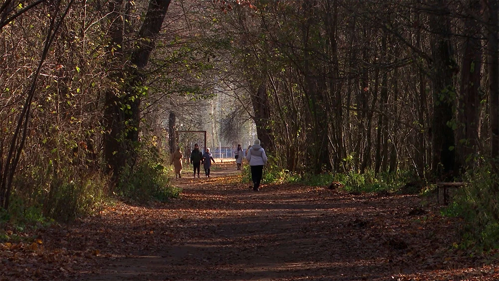 Тропинка в осеннем лесу