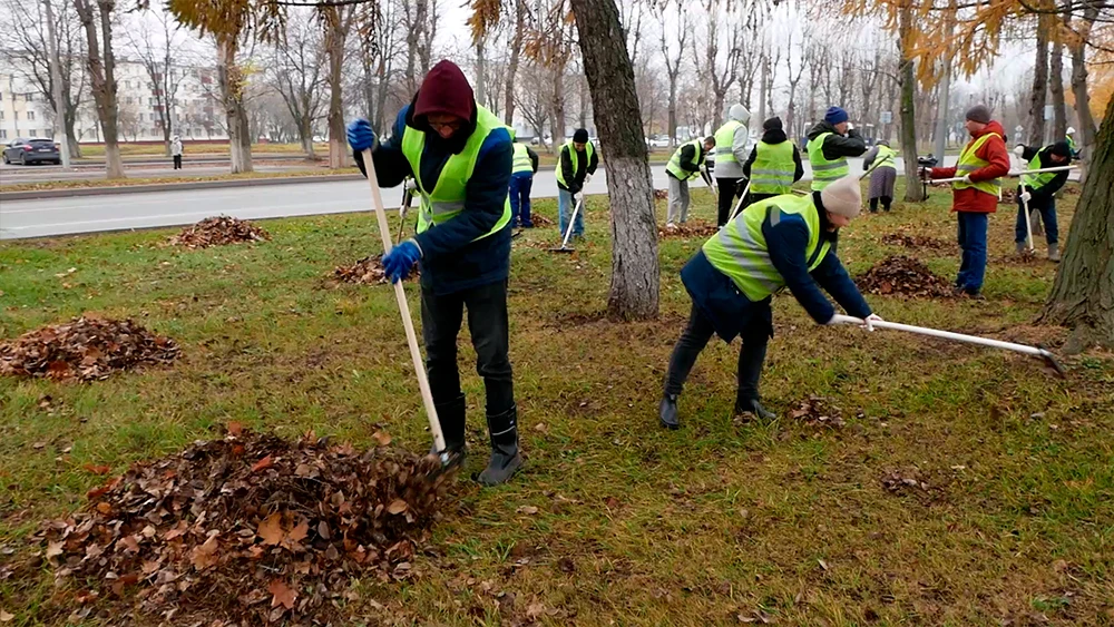 Субботник на проспекту Химиков