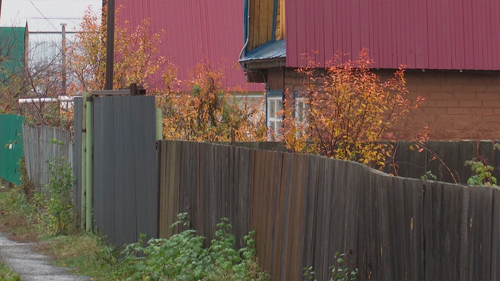 осенний огород