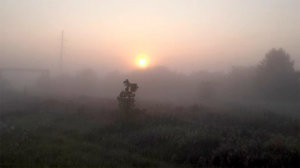 Туман на рассвете