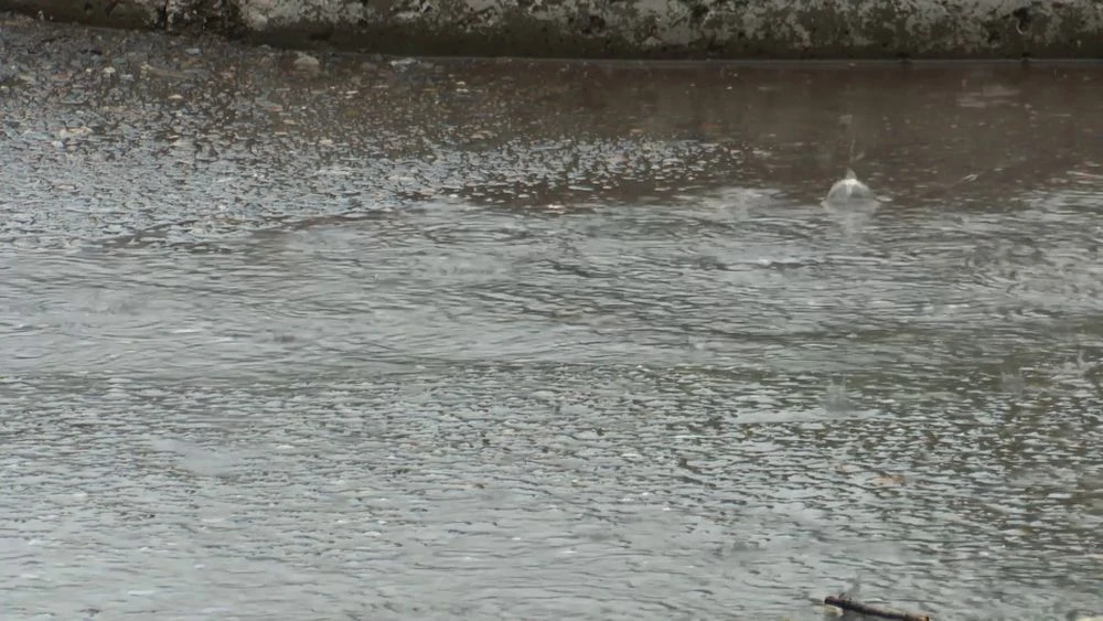 лужа на асфальте дождь