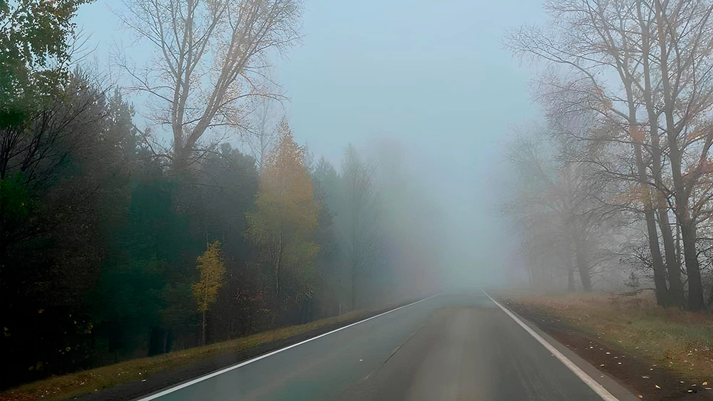 Осенняя дорога