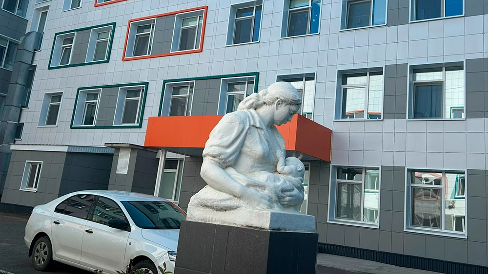 Нижнекамский роддом