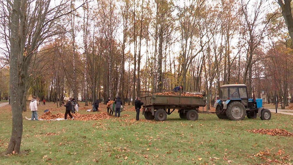 Субботник в парке
