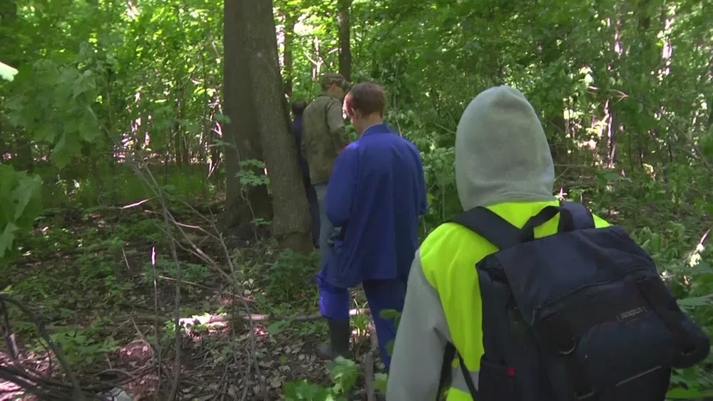 Нижнекамские волонтёры ищут пропавших людей