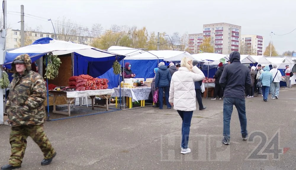 сельскохозяйственная ярмарка в нижнекамске