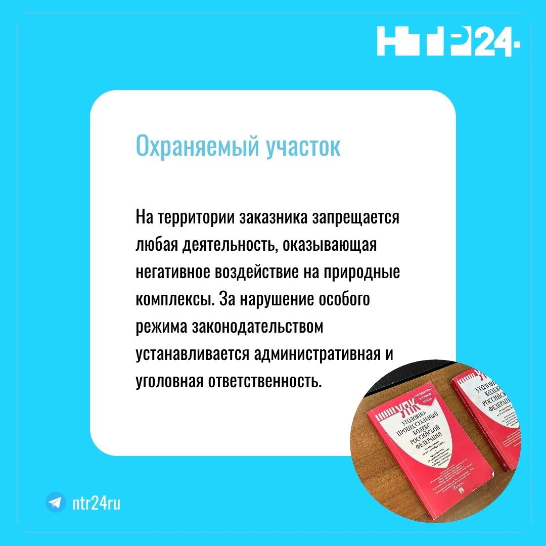 На территории заказника запрещается любая деятельность, оказывающая негативное воздействие на природные комплексы. За нарушение особого режима законодательством устанавливается административная и уголовная ответственность
