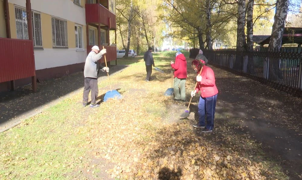 нижнекамцы убирают опавшие листья
