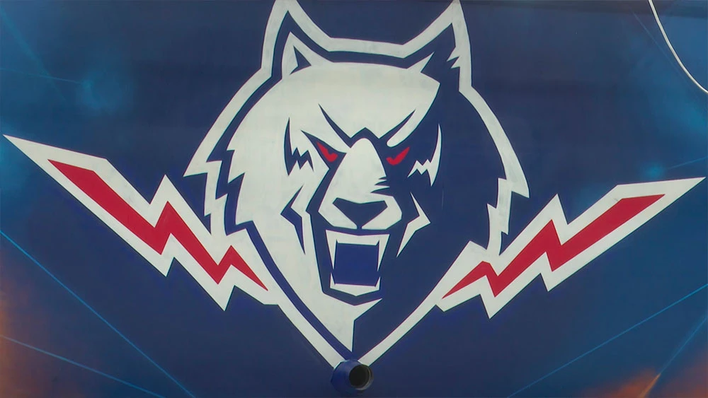 Эмблема ХК «Нефтехимик»