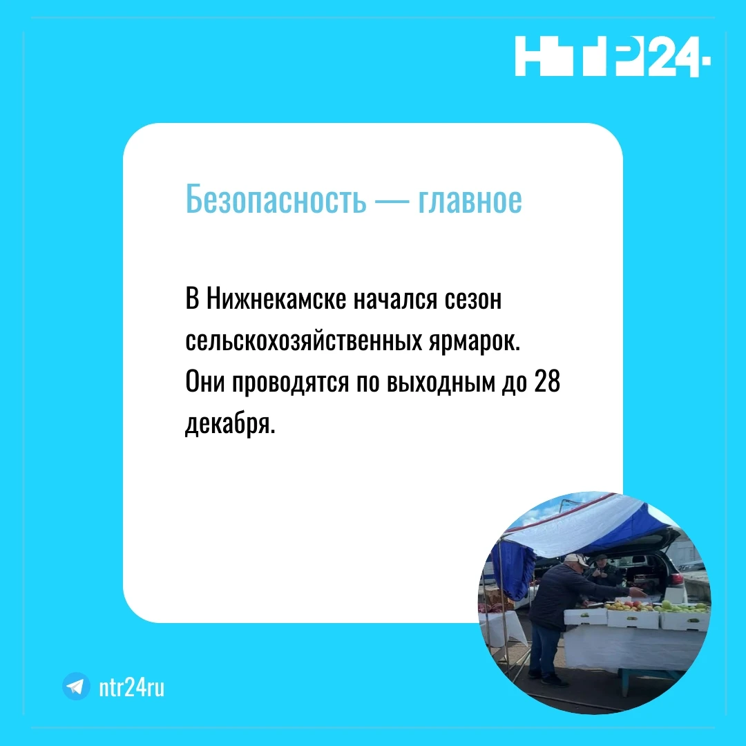 В Нижнекамске начался сезон сельскохозяйственных ярмарок.  Они проводятся по выходным до двадцать восьмого декабря