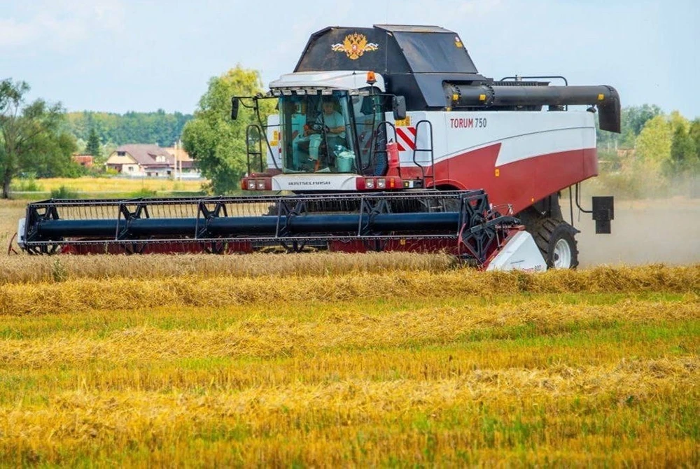 комбайн убирает зерновую культуру на поле в Нижнекамском районе