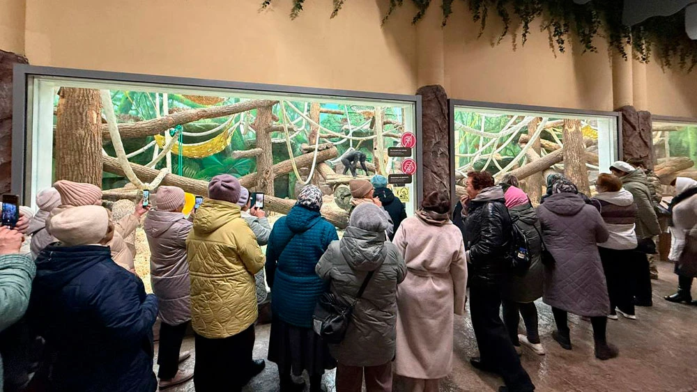 Волонтёры в музее