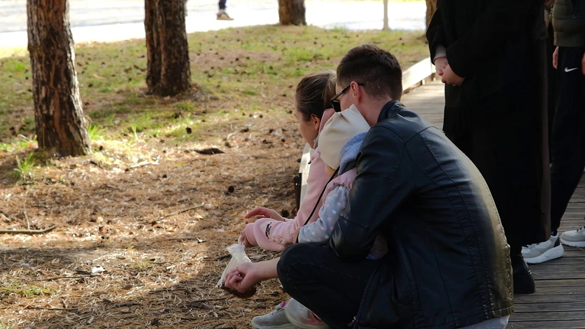 жители Нижнекамска кормят белок в парке Семья