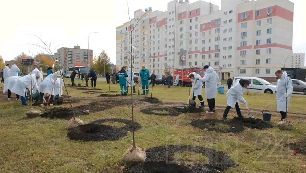сотрудники НКНХ высаживают липы на 30 лет победы