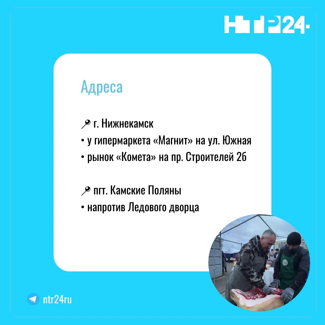 Адреса: Нижнекамск, у гипермаркета «Магнит» на улице Южной; рынок «Комета» на проспекте Строителей 2б; песёлок Камские Поляны, напротив Ледового дворца