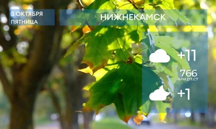 Прогноз погоды в Нижнекамске на 3-е октября 2025 года - НТР 24