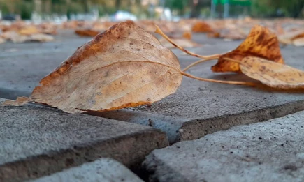 В Татарстане неделя начнётся с дождливой погоды с порывистым ветром - НТР 24