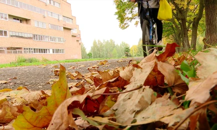 В Татарстане 4 октября ожидаются заморозки до -3 и туманы - НТР 24