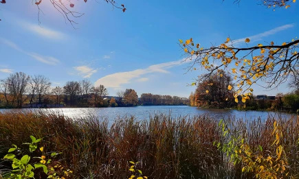 В Нижнекамском районе создали заказник для защиты краснокнижных цапель - НТР 24