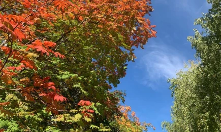 Сколько ещё продлится тёплая погода в Татарстане, показал прогноз синоптиков - НТР 24