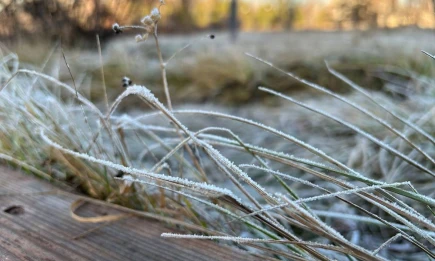 Заморозки до -4 градусов придут в Татарстан предстоящей ночью - НТР 24