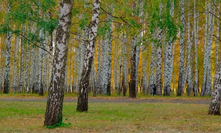 В Татарстане 569 видов животных и растений находятся под охраной Красной книги - НТР 24