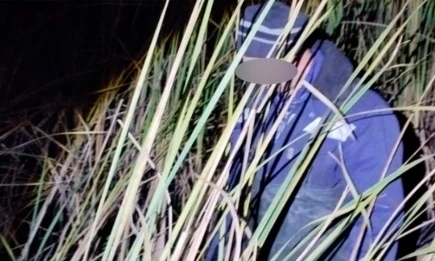 В новом нижнекамском заказнике защиты краснокнижных цапель поймали браконьеров - НТР 24