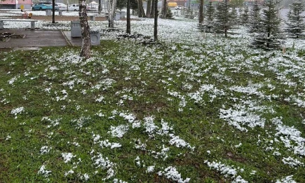 Когда в Татарстане выпадет снег, рассказали синоптики - НТР 24