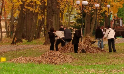 В Татарстане 17 октября ожидается туман, возможен небольшой дождь - НТР 24